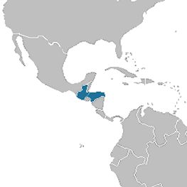 Гватемала – Копан (Гондурас) – Тикаль