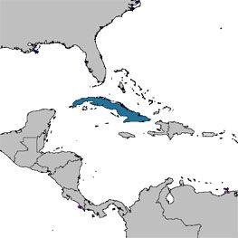 Гавана и Варадеро