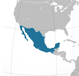 Два океана Мексики