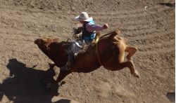 The cowboy skills trail, a rodeo