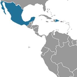 Dominican Republic – Mexico, "Caribbean breeze"
