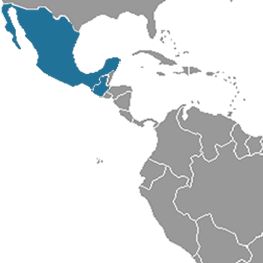 Mexico – Guatemala – Honduras: "The world of Mayas"