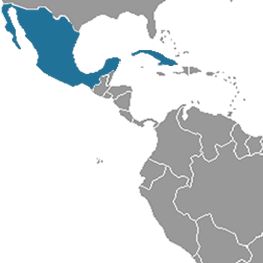 Cuba, Mexico and Caribbean: Havana – Trinidad – Varadero – Cancun