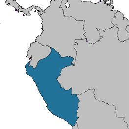 All many-sided Peru