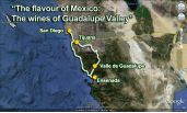 The flavour of Mexico: the wines of Guadalupe Valley