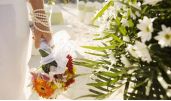 Unforgettable wedding in Cuba in Hotels brand Sol  in the Beach