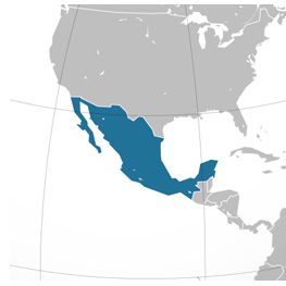 El mundo maya de Yucátan + Palenque + Cancún, 6 días/ 5 noches