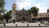 El tour "El Museo de Dolores Olmedo y Xochimilco"